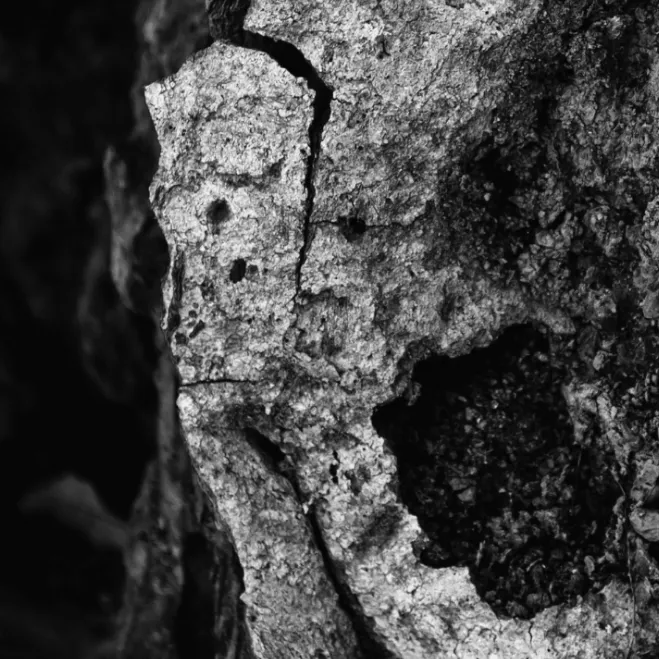 Texture détaillée d'une pierre avec des fissures et des ombres.